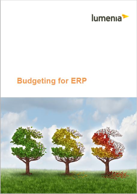 ERP Budgeting Report: ERP Business Case