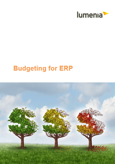 Budgeting for ERP Report