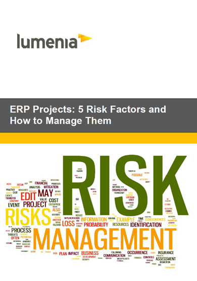 ERP Projects Risk Management