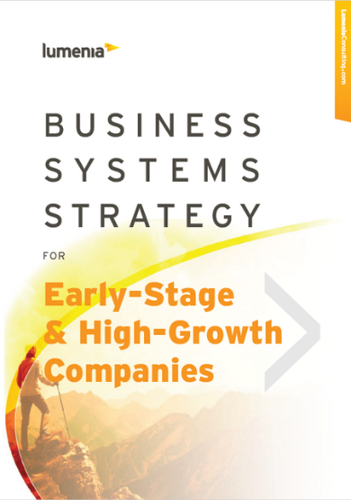 Business Systems Strategy for Early-Stage and High-Growth Companies 