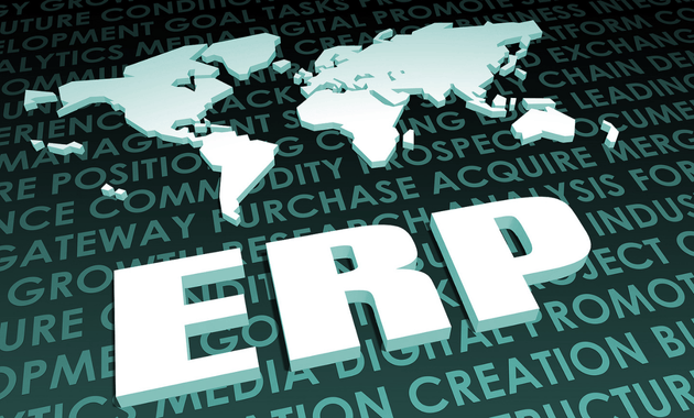 Benchmarking ERP Costs