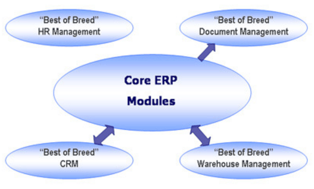 ​    ​Best of Breed Integration with core ERP