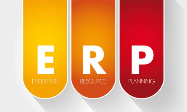 Best practice in ERP Project Team Formation