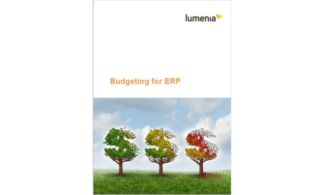 Budgeting for ERP