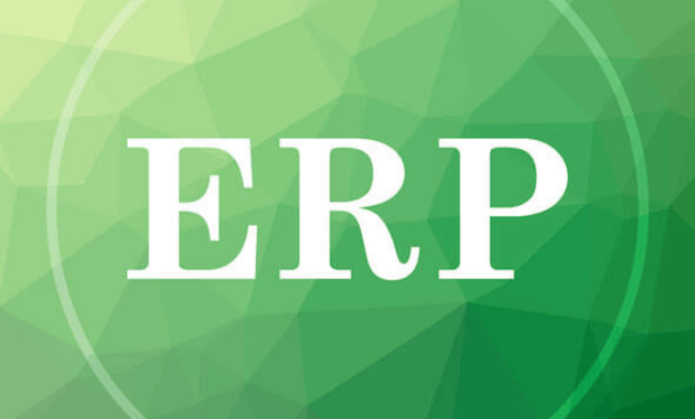 ERP Application Testing