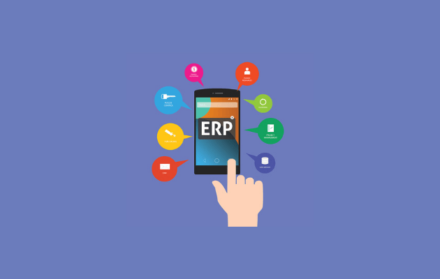 ERP Demonstrations - Why Functional and Technical Aspects Both Matter