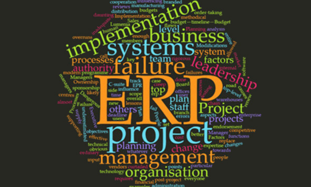 ERP Failure Causes and Factors