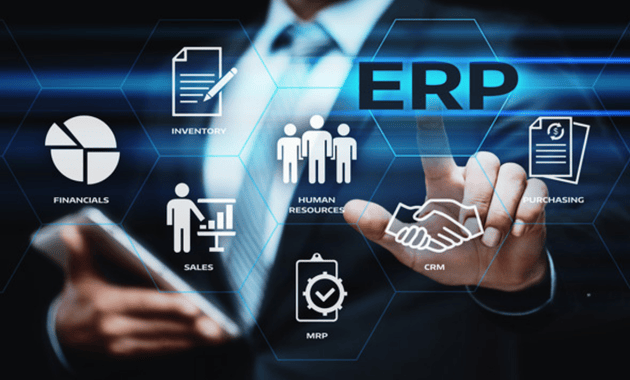ERP in the Professional Services Sector