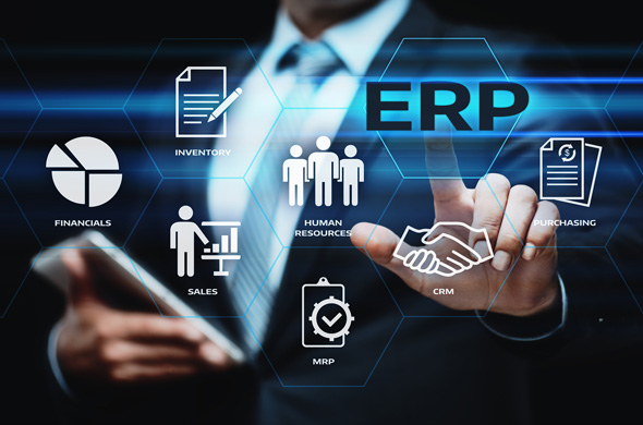 ERP professional services sector