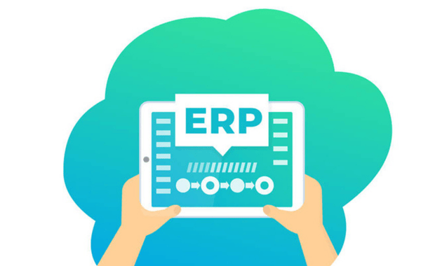 ERP Versus Best of Breed