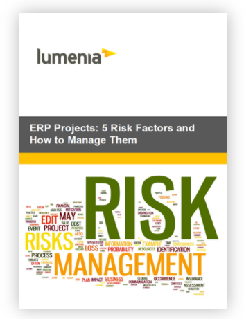 ERP Risk Management White Paper