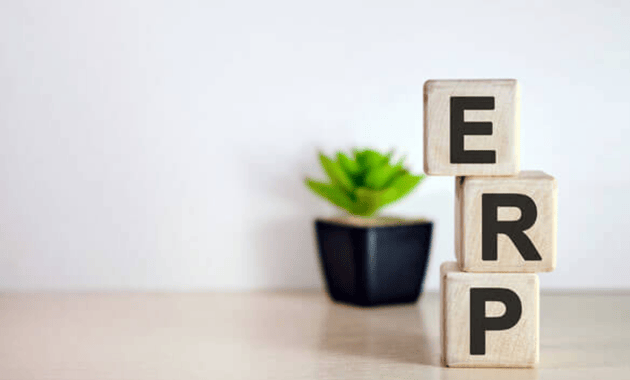 Map the Business to the ERP System or Vice Versa