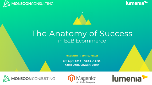 Anatomy of Success in B2B ECommerce