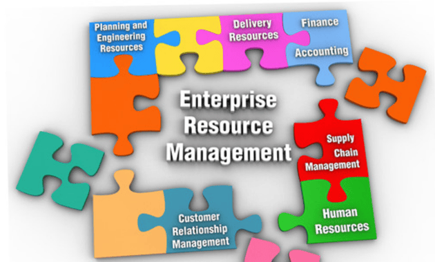 ​​​​The Impact of Business Growth on ERP Strategy The Patchwork Quilt