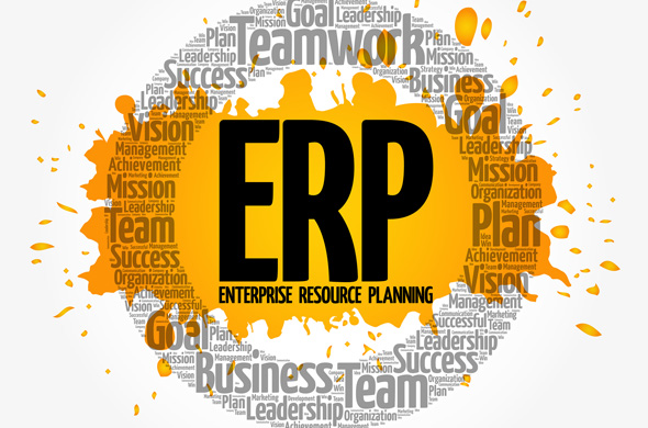 ERP Project Managers
