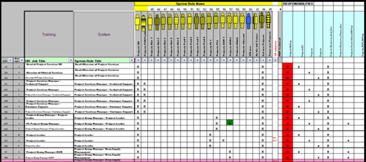 Erp Role Mapping 