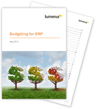 Budgeting for ERP