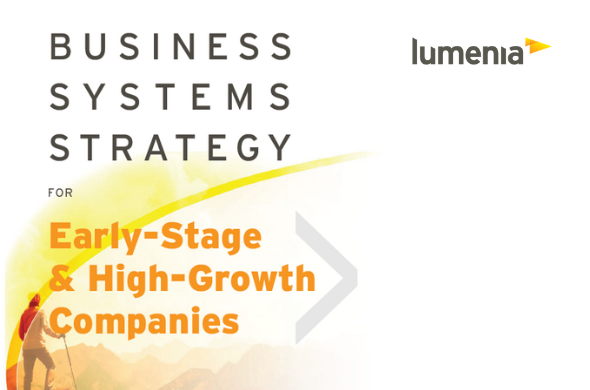 Business Systems Strategy for Early-Stage and High-Growth Companies 