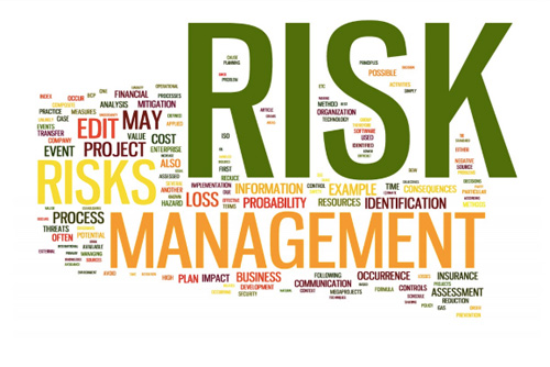 Risk Management in ERP Projects