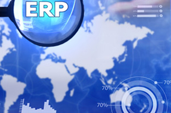 ERP System Evaluation