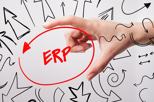 ERP Cost Report