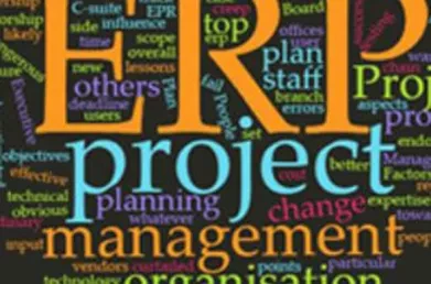 Post-merger Integration: ERP Strategies