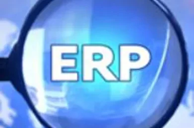 Beware of Web-based ERP System Selection Processes