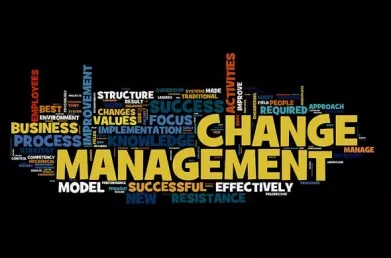 ERP Change Management - Why Size Matters