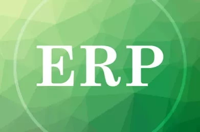 ERP Application Testing