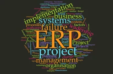 The ERP Failure Factors