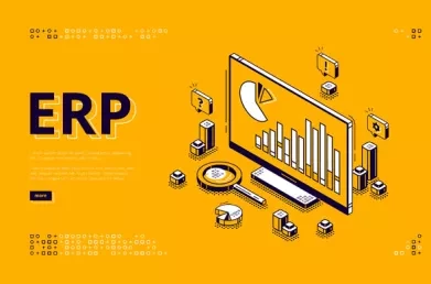 ERP in Service Industries - What are the available options?