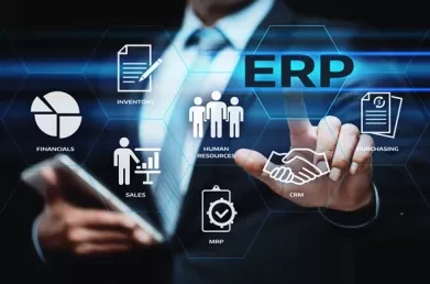 ERP in professional services 