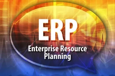 Managing ERP in International Environments