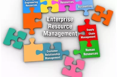 The Impact of Business Growth on ERP Strategy