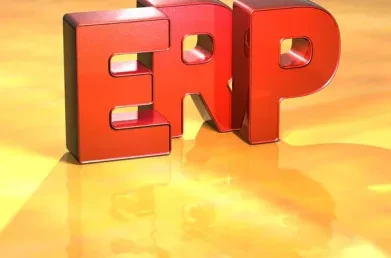Risk Management in ERP Projects