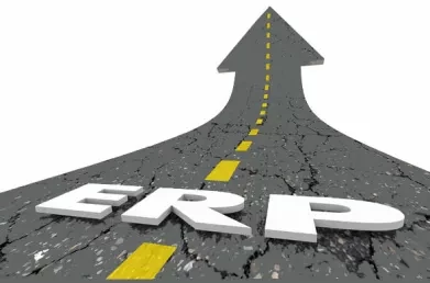 Role Mapping : Critical Intersection on the Road to ERP Implementation