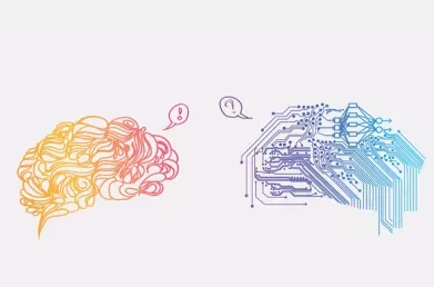 The Human Element in ERP Selection 