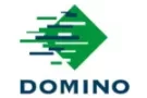 Domino logo